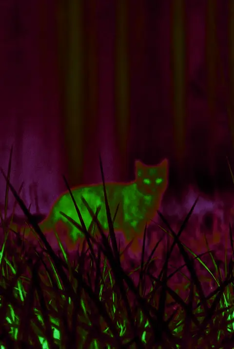 Example for Night vision app for iPhone: filters, low light, and infrared
